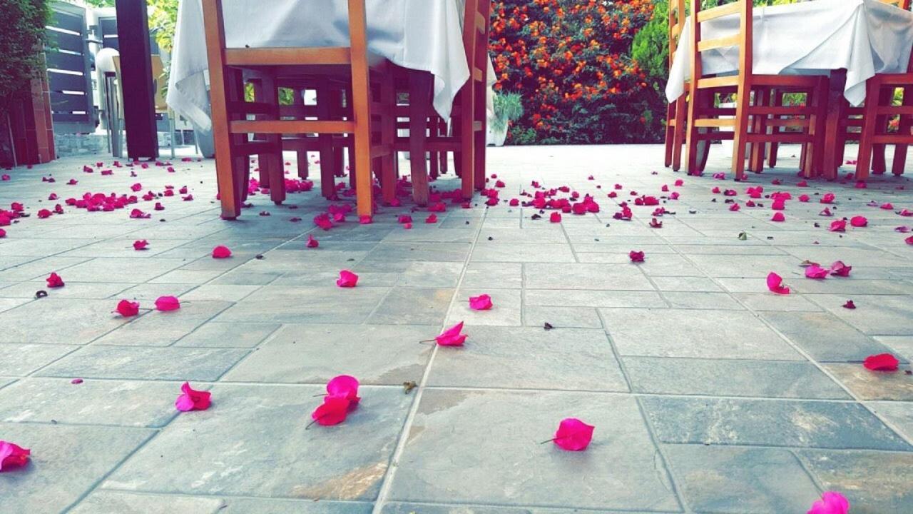 Dhima Hotel هيماري المظهر الخارجي الصورة
